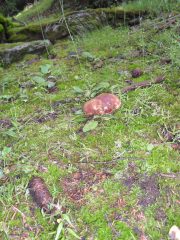 la giornata e' iniziata molto bene....eccolo....