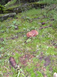 la giornata e' iniziata molto bene....eccolo....