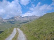 vista dal punto di partenza