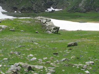 Fioritura al Lago Morto