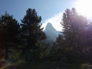 la guglia emerge dal bosco dell'Alevè!