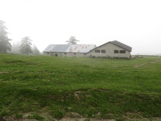 Alpe Arguel