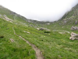 Percorso sinuoso