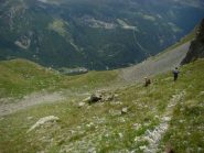 rientro a Saint Jacques per il ripido sentiero lato nord del Palon di Nana