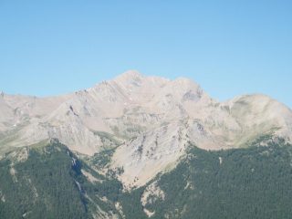 tete de siguret