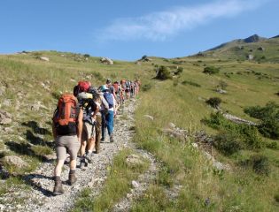 il gruppo