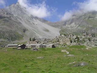 l'alpe Nomenon,sullo sfondo il colle Charbonniere...