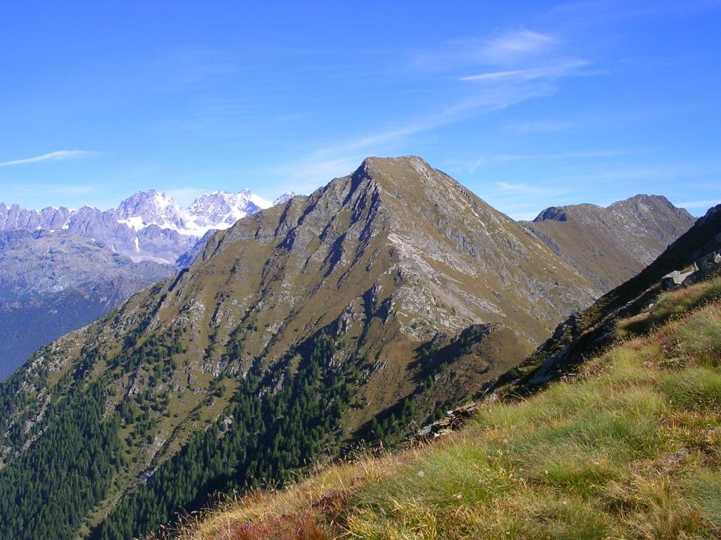 Il monte Palino visto dalle pendici del Monte Foppa