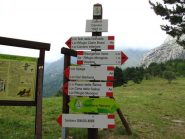 Palina al bivio della colla di Carnino poco sopra al paese