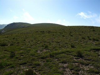 La cima di Pian Comune, ampie zone prative