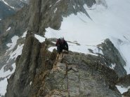 Aerea crestina finale