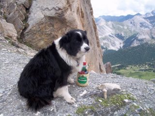 Jolie al pas du Curè