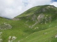 Cima del Rospo versante sud