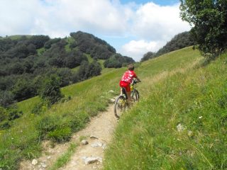 in salita 1