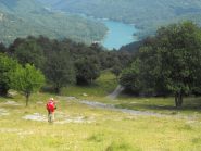 free trek in discesa