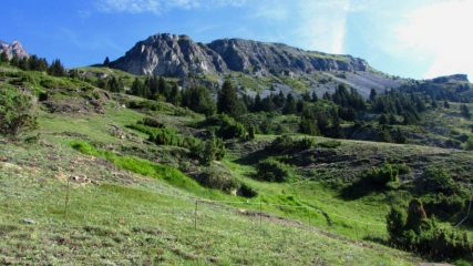 i pendii erbosi che portano verso il Refuge de Vallonbrun (16-7-2011)