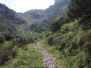 nel vallone degli Arbi