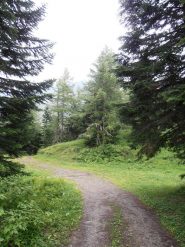 02 - nel Bosco Nero, da questo punto si inizia a scendere