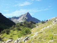 La prima apparizione 