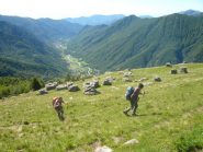 fuori dal bosco