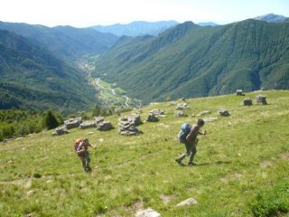 fuori dal bosco