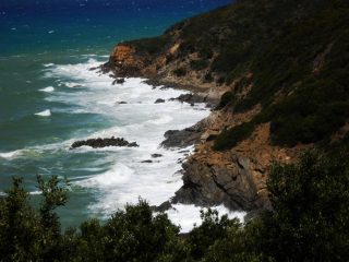 scogliere