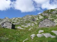 Alpe Pian del Rio 2176 m.