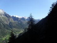 panorama dalle abetaie....