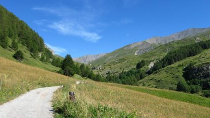 Spendido scorcio in salita