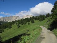 Il luuungo avvicinamento