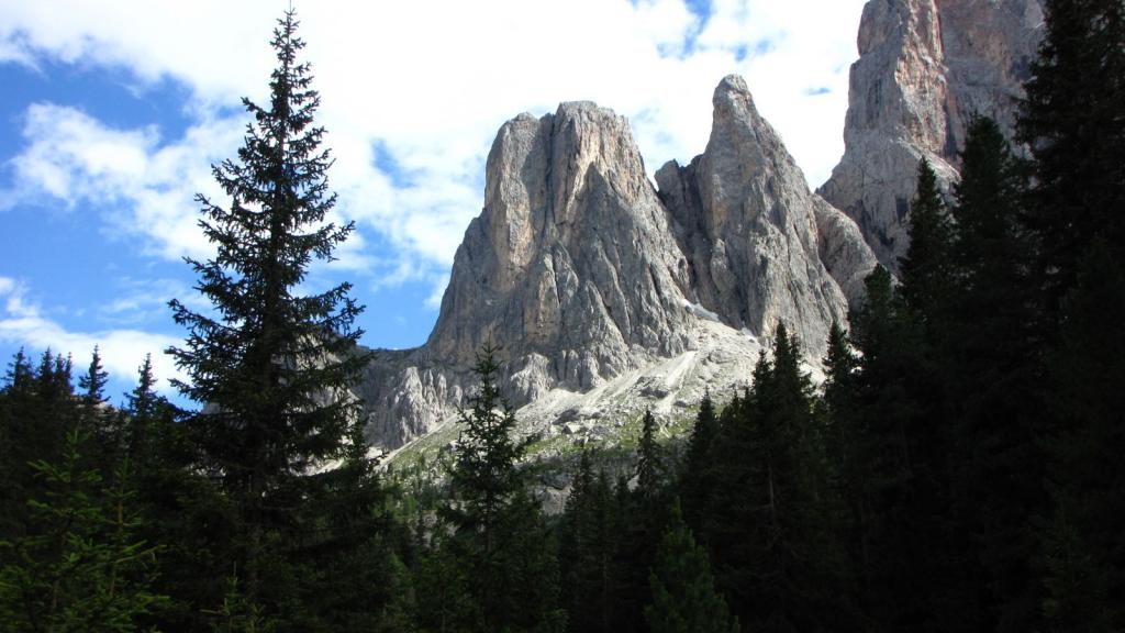 dal bosco emergono le pareti delle Odle (22-7-2011)