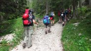 salendo il primo tratto del sentiero per Malga Gampen e il Rifugio Genova (22-7-2011)