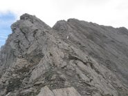 L'ultimo tratto prima della vetta del Barifreddo. Da tenersi sotto cresta lato Valle ARgentera