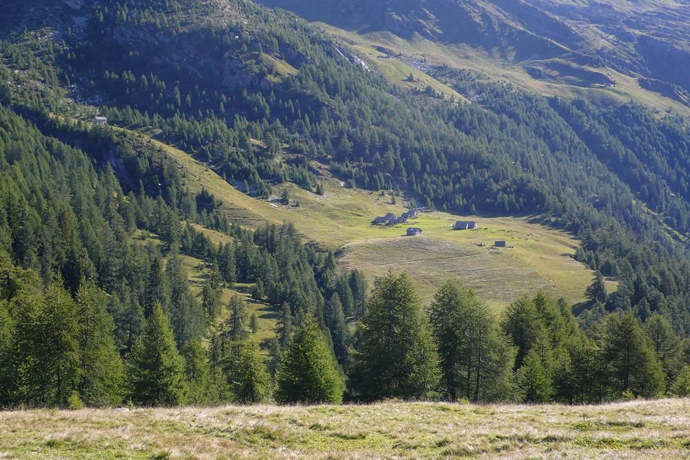 Matogno