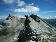 Dal colle delle Sagne il Chersogno