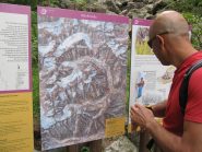 Appena partiti Roberto studia il percorso...