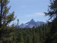 bella vista sul pic di rochebrune
