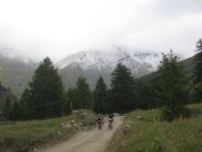 pedalando verso il gelo