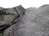 la scelta è: trad oppure trad