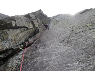 la scelta è: trad oppure trad