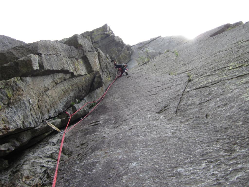 la scelta è: trad oppure trad