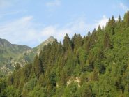 L'Uia di Pratofiorito, salendo verso Bianetto