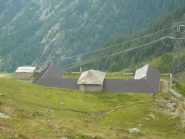 gr Marmotta