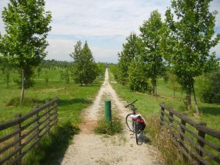 verso Borgaro