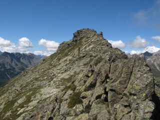 Tete de Barasson