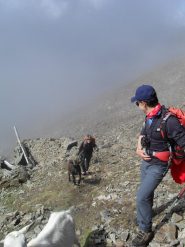 l'arrivo in cresta con le caprette..