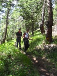 in discesa nel bosco .dopo la Metz per chiudere l'anello a Thouraz