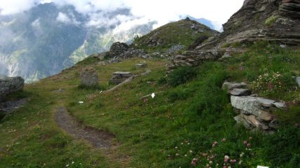 Il giardino botanico