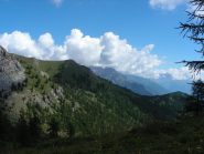 Il cotolivier e la croce s. giuseppe
