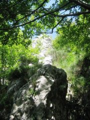 La partenza della via